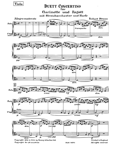 Duet-Concertino for Clarinet and Bassoon