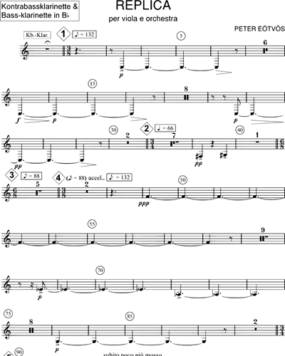Contrabass Clarinet/Bass Clarinet