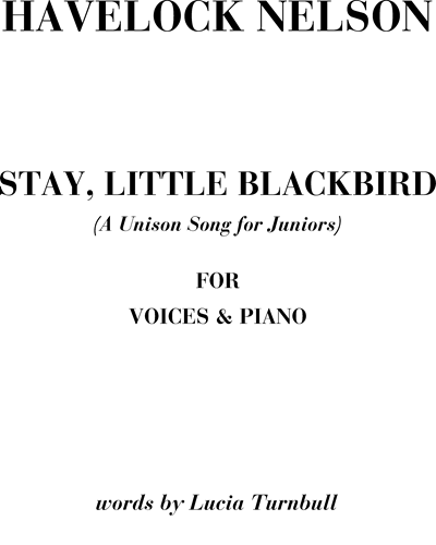 Stay, little blackbird