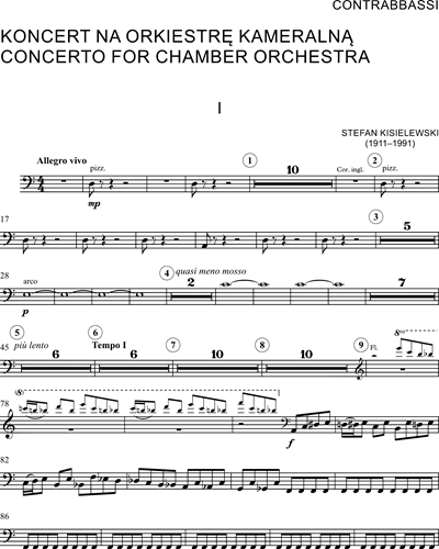 Concerto for Chamber Orchestra