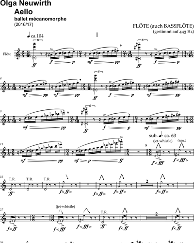 Flute/Bass Flute Amplified