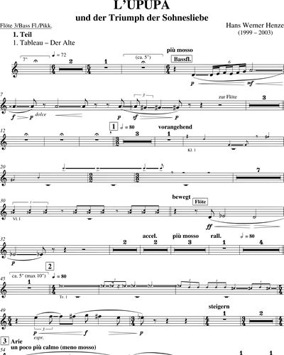 Flute 3/Piccolo/Bass Flute