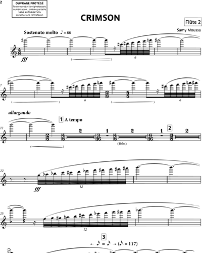 Flute 2/Piccolo (Optional)