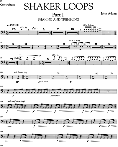 Shaker Loops, for Strings