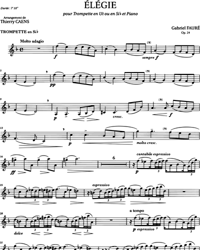 Élégie Op. 24 (Arrangement pour Trompette en Ut ou en Si bémol et Piano)