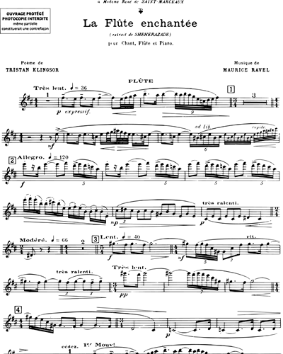 La flûte enchantée (extrait de "Shéhérazade")