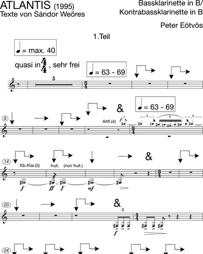 Bass Clarinet/Contrabass Clarinet