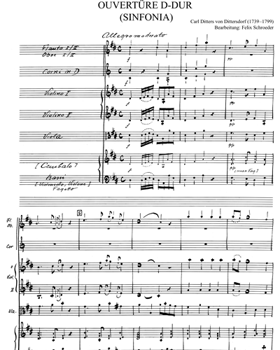 Ouvertüre D-dur (Sinfonia)
