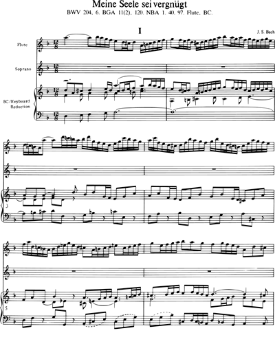 Sämtliche Arien - Bd. 2 (BWV 204, 209, 210) 