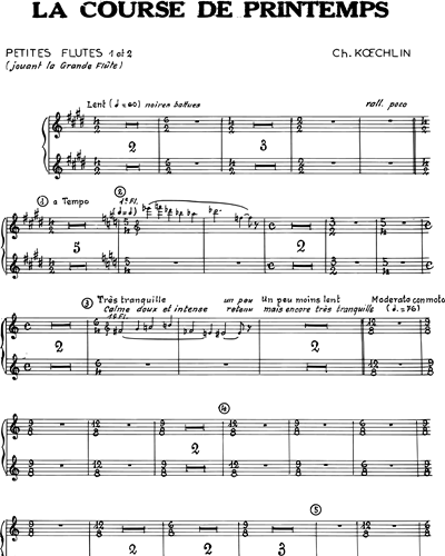 Piccolo 1 & Piccolo 2/Flute 3