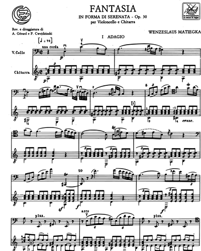 Fantasia in forma di serenata Op. 30