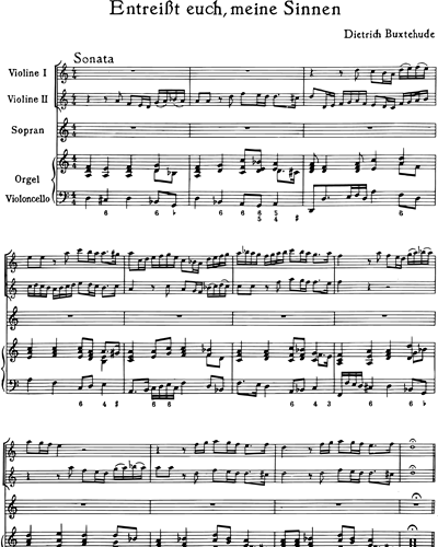 Full Score & Soprano & Organ (Continuo)