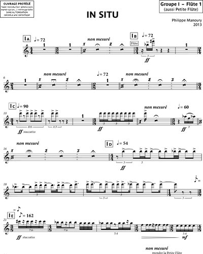 [Group 1] Flute 1/Piccolo