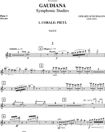 Flute 3/Piccolo