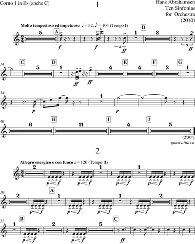 Horn in Eb 1/Bass Horn in C