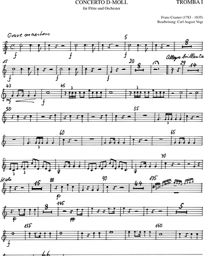 Concerto D-moll für Flöte und Orchester