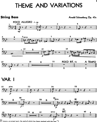 String Bass