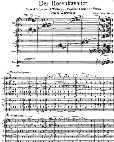 Second Sequence of Waltzes (from "Der Rosenkavalier")