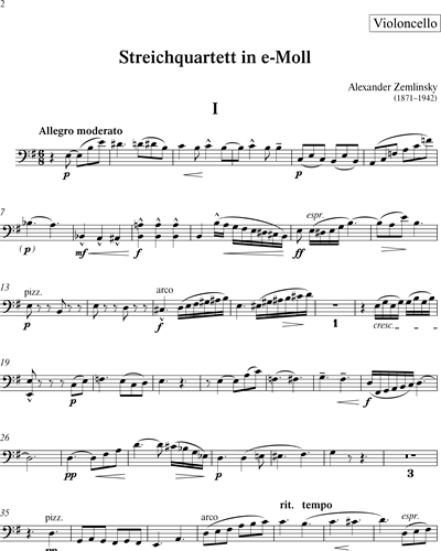 Streichquartett in e-Moll