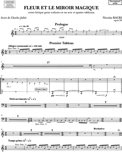 Percussion 6 (ad libitum)