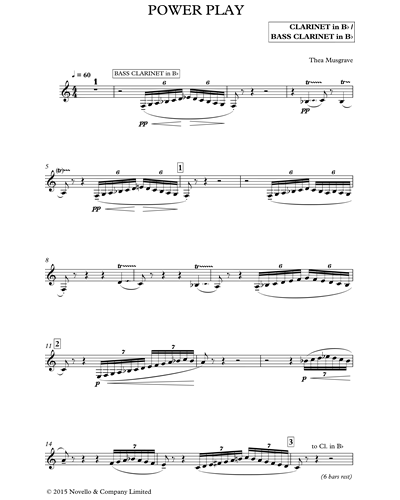 Clarinet in Bb/Bass Clarinet in Bb