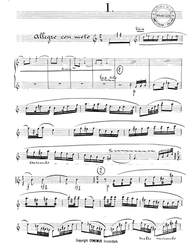 Concerto for Soprano, Alto Saxophone and Piano