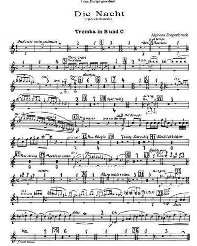 Trumpet in Bb 1 & Trumpet in C