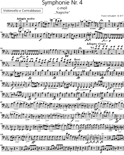 Symphonie Nr. 4 c-moll D 417