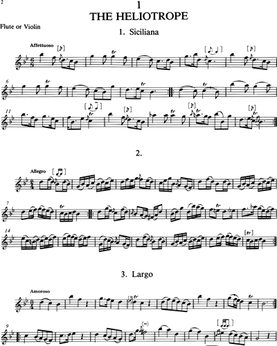Flute/Violin 1 (Alternative)