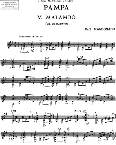 Malambo - El Cimarron (extrait de "Pampa")