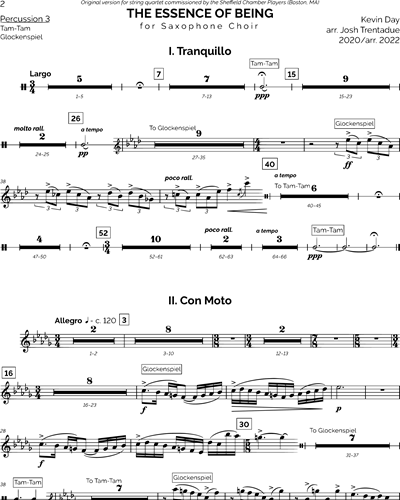 Percussion 3 (Optional)