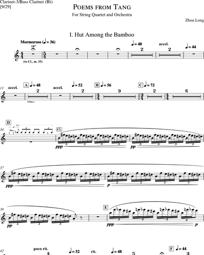 Clarinet in Bb 3/Bass Clarinet