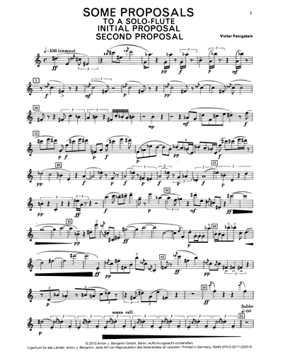 Some Proposals to a Solo-Flute