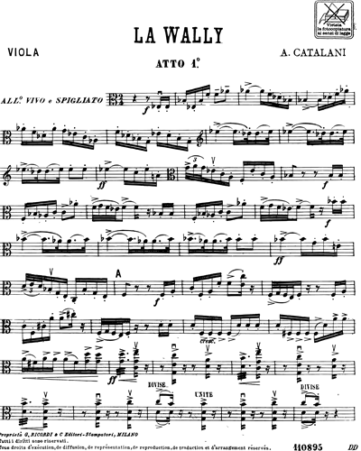 Viola