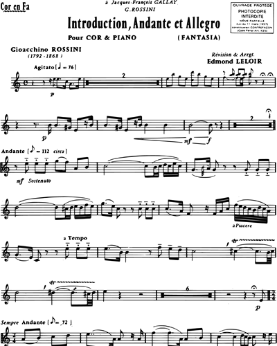 Introduction, Andante Et Allegro Fantaisie pour cor et piano