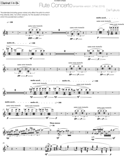 Flute Concerto - Ensemble Version