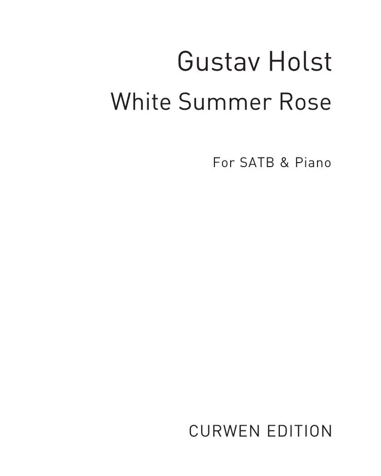 White Summer Rose