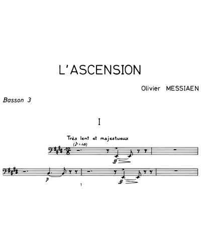 Bassoon 3