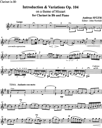 Introduktion und Variationen über ein Thema von Mozart op. 104
