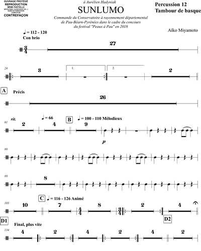 Percussion 12