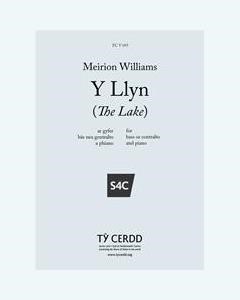 Y Llyn (The Lake)