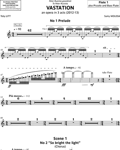 Flute 1/Piccolo/Bass Flute