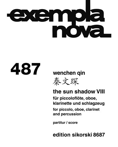 The Sun Shadow VIII