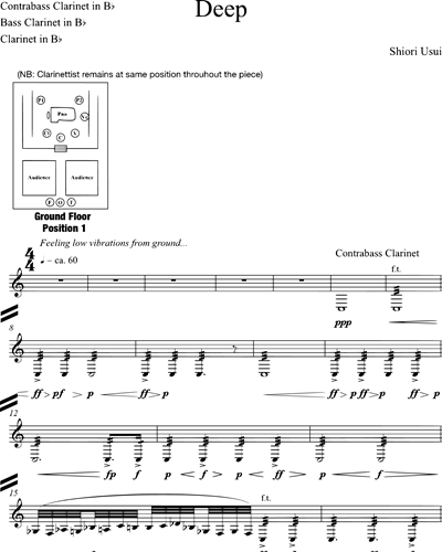 Contrabass Clarinet/Bass Clarinet/Clarinet