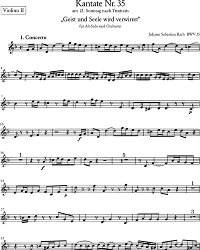 Kantate BWV 35 „Geist und Seele wird verwirret“
