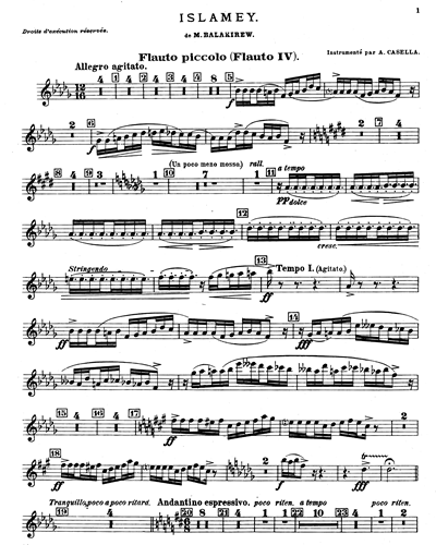 Flute 4/Piccolo