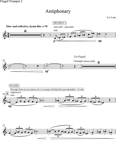 Flugelhorn/Trumpet in Bb 2