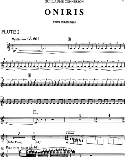 Flute 2