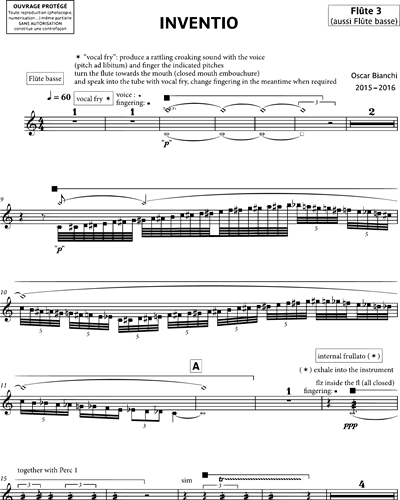 Flute 3/Bass Flute