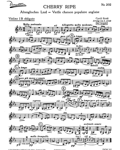 Violin 1B